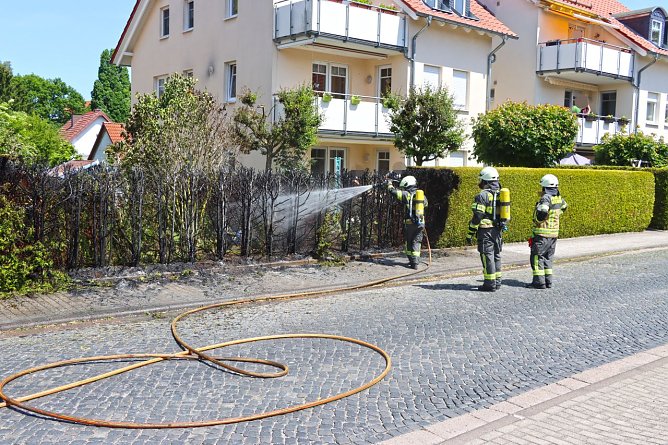 Heckenbrand in Heiligenstadt (Foto: Feuerwehr Heiligenstadt)