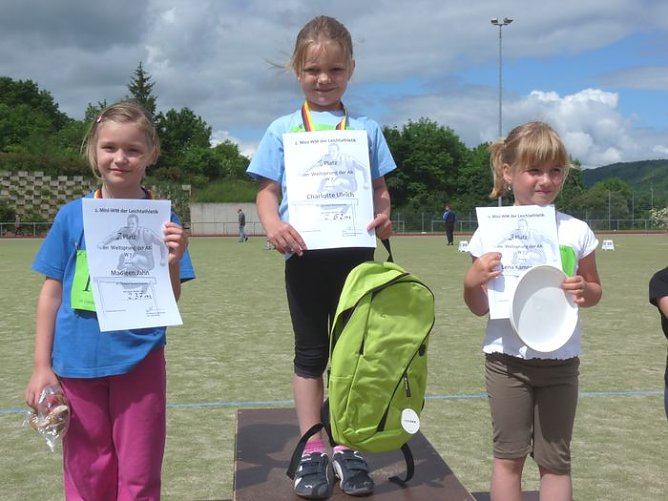 Mini-WM-2010 (Foto: Karl-Heinz Herrmann)