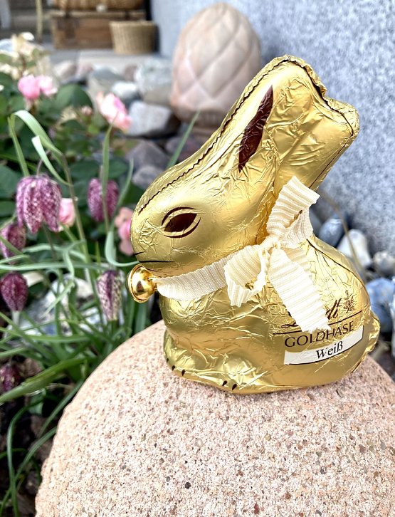 Bild: Der Goldhase im heimischen Garten beim Fr&uuml;hlingserwachen