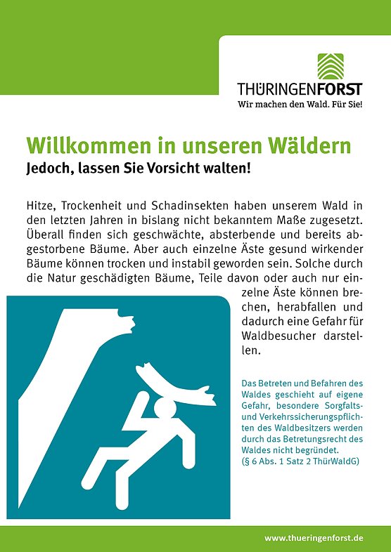 Bild: Waldbetretung in Zeiten enormer Forstsch&auml;den