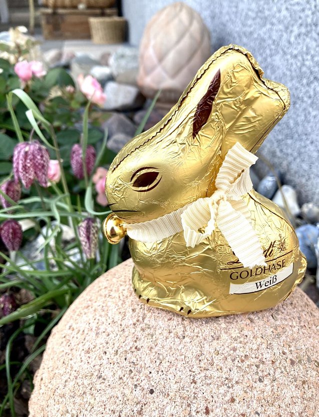 Bild: Der Goldhase im heimischen Garten beim Fr&uuml;hlingserwachen