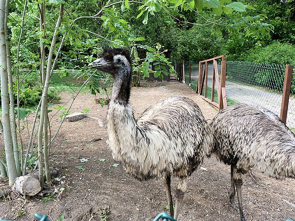 Auf dem Possen bei Sondershausen