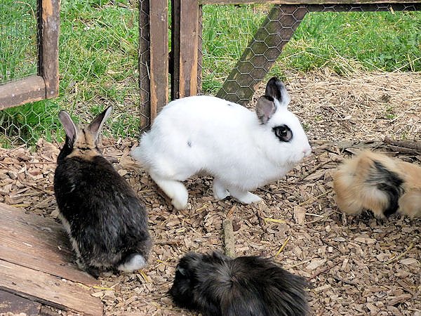 Auf dem Possen bei Sondershausen