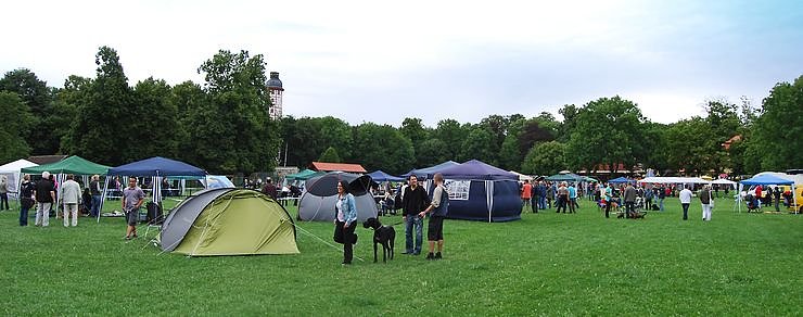 Doggen auf dem Possen