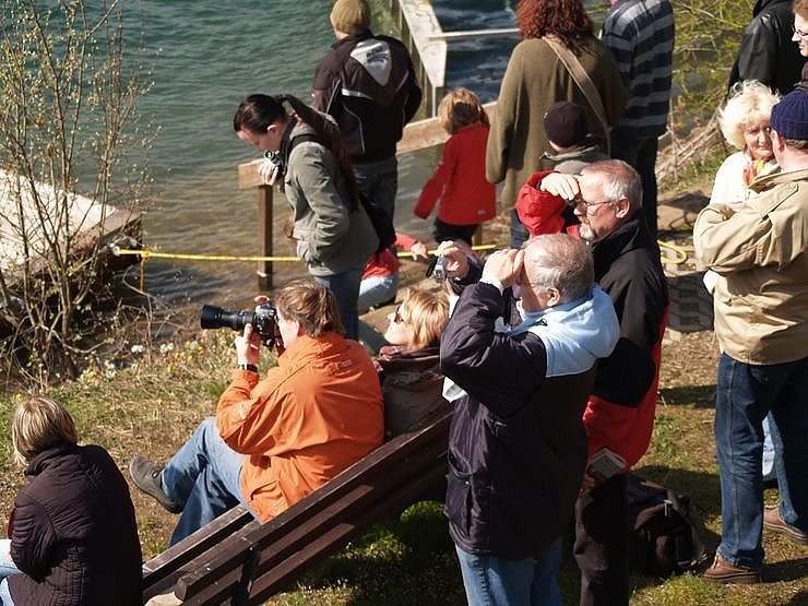 Machs gut, Charlotte III