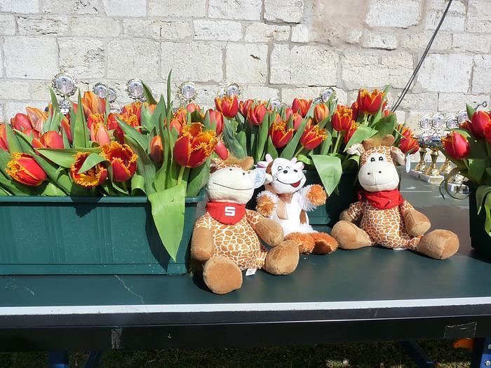 Rekordbeteiligung beim Possenlauf (2)