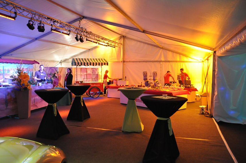 Fr&uuml;hlingsball 2012