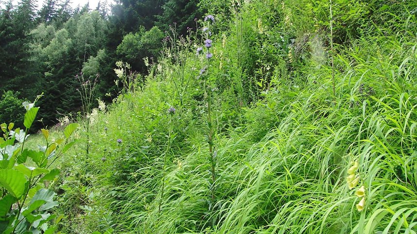 Was wurde konkret getan, Herr Minister?