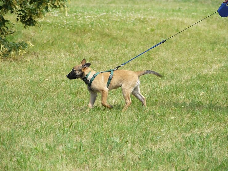 Tag der offenen T&uuml;r bei der Polizeidirektion Nordhausen