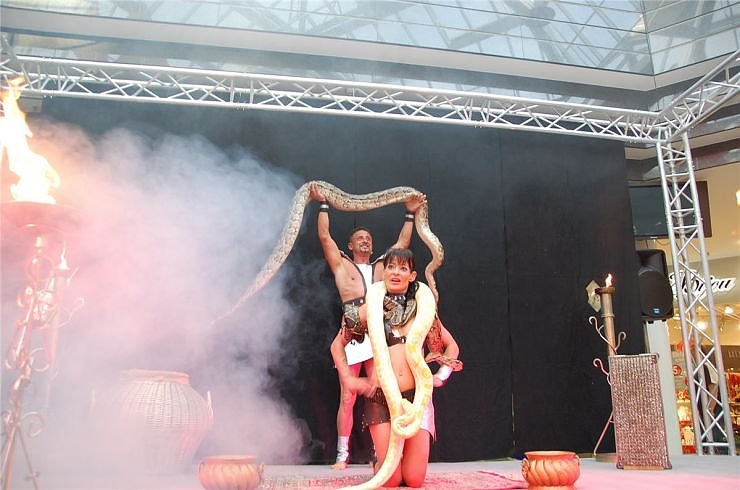 "Magie & Mythos" in der S&uuml;dharzgalerie