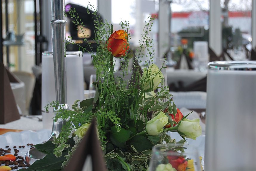 Fr&uuml;hling im "Ballhaus Peter"