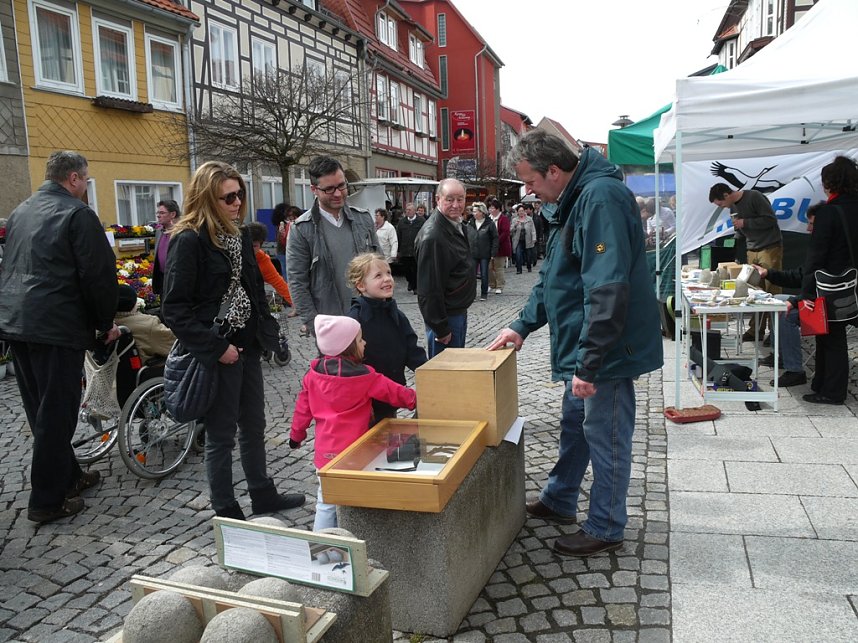 Fr&uuml;hlingsfest in Worbis
