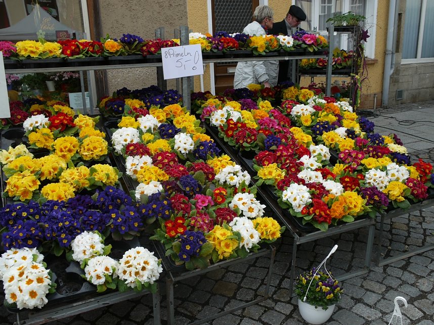 Fr&uuml;hlingsfest in Worbis