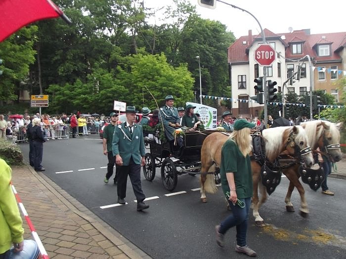 Weitere Bilder Festumzug (1)