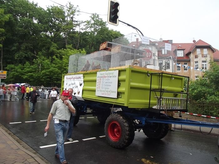 Weitere Bilder Festumzug (1)