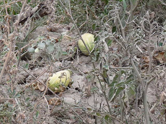 Haldenbefahrung der Kalihalde Sondershausen