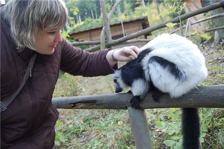 Affenwald Erlebnispark Strau&szlig;berg