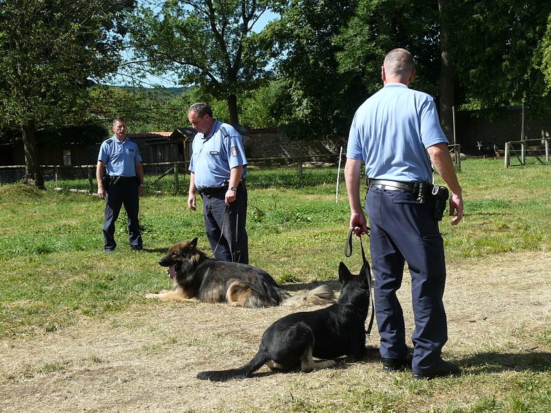 Polizeivorf&uuml;hrungen im Zeltlager der Johanniter