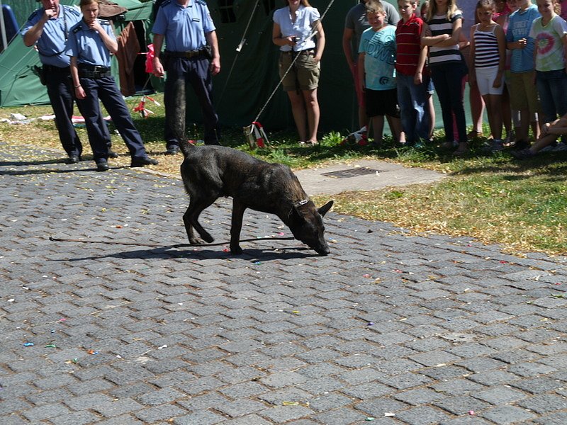 Polizeivorf&uuml;hrungen im Zeltlager der Johanniter