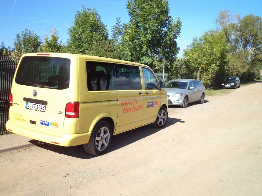 Tierisch Tierisch im Nordh&auml;user Tierheim