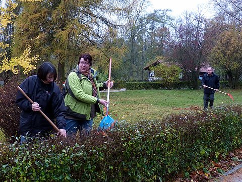 Saubermachen im B&auml;renpark
