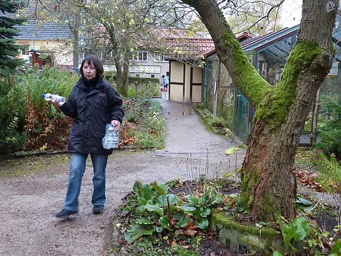 Saubermachen im B&auml;renpark