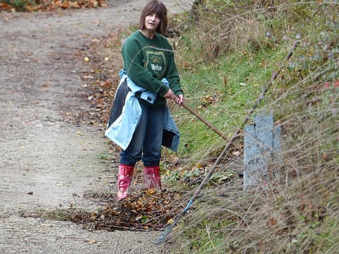 Saubermachen im B&auml;renpark