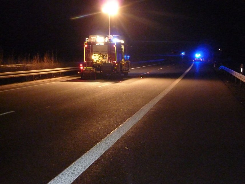 Wildschweine &uuml;berfahren