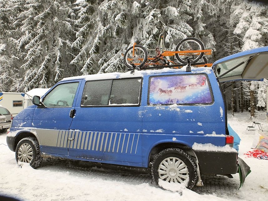 Schlittenhunderennen in Benneckenstein