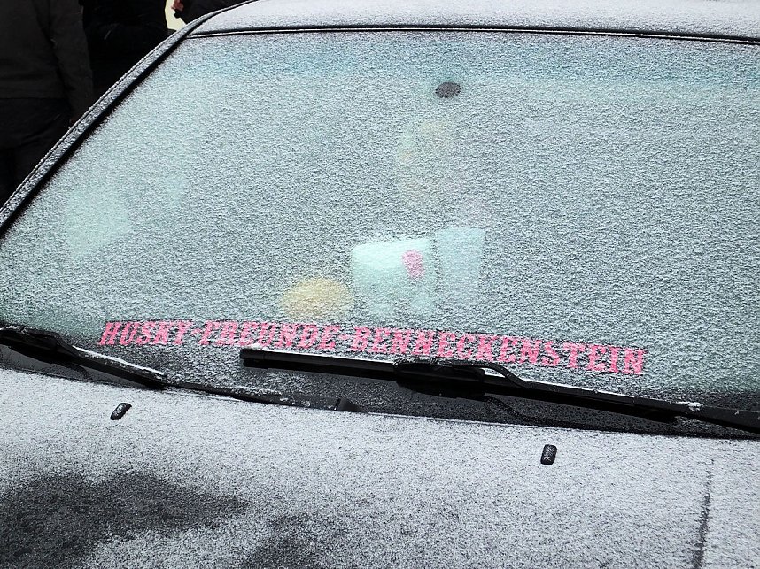 Schlittenhunderennen in Benneckenstein