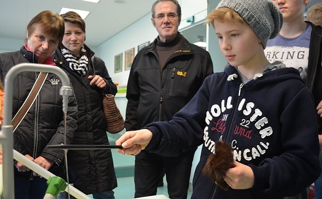 Schnuppertag am Gymnasium
