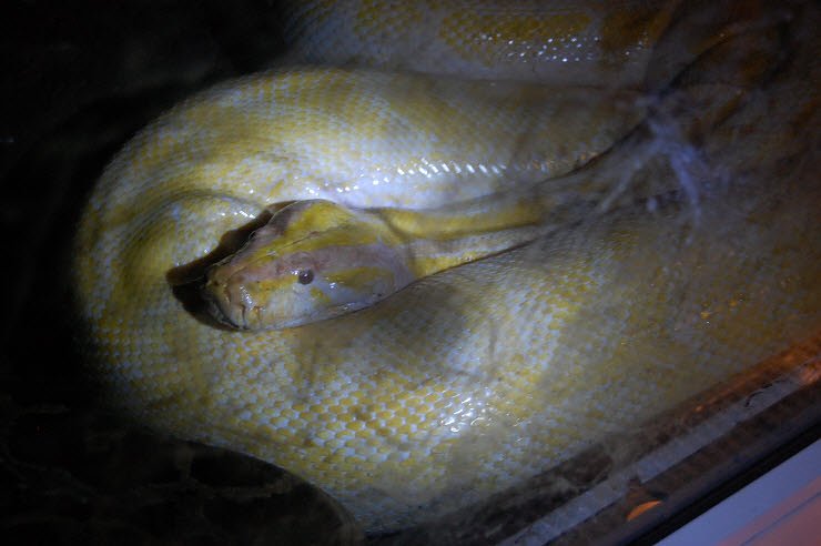 Nanderwanderung im  Nordh&auml;user Zoo nnz-City Scout on Tour