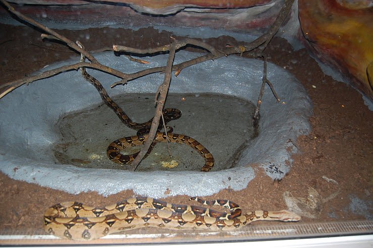 Nanderwanderung im  Nordh&auml;user Zoo nnz-City Scout on Tour