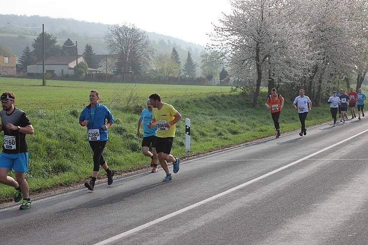 Impressionen vom Kyffh&auml;userberglauf 2014 (1)