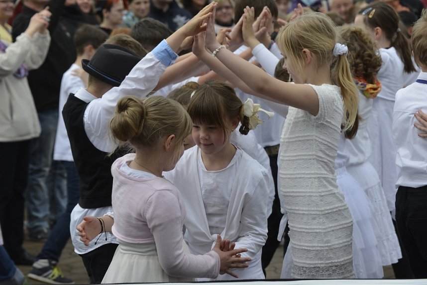 19.Autofr&uuml;hling