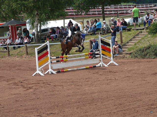 Reitturnier 2014 in Uder