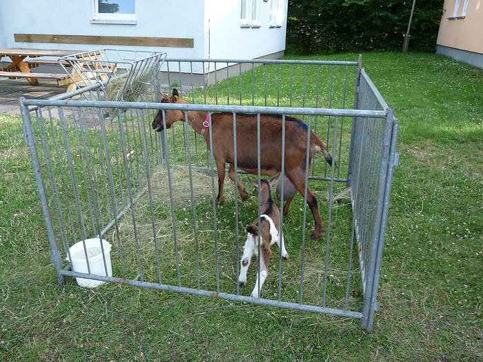 Interessante Projekte vorgestellt