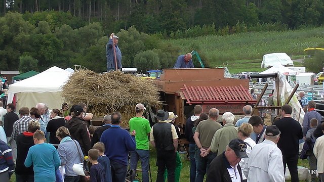 Erster Tag Bauernmarkt in Kallmerode