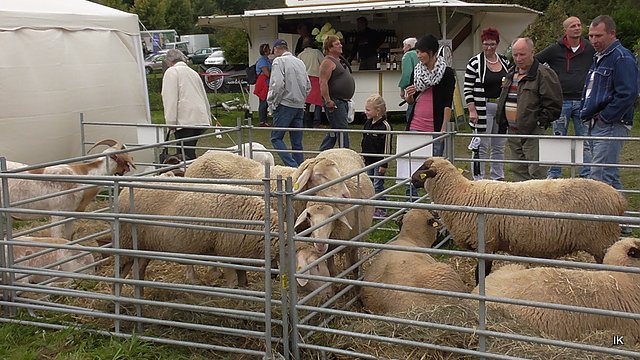 Erster Tag Bauernmarkt in Kallmerode
