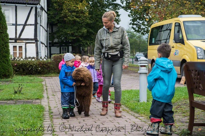 Therapiehunde unterwegs