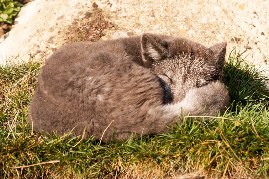 Besuch im Zoo am Meer