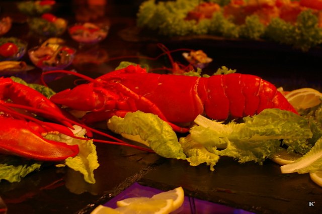 9. &Auml;rzte- und Apothekerball in Heiligenstadt