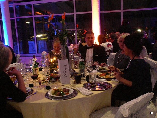 9. &Auml;rzte- und Apothekerball in Heiligenstadt