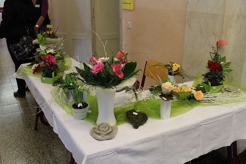 Nicht nur Berufe vorgestellt