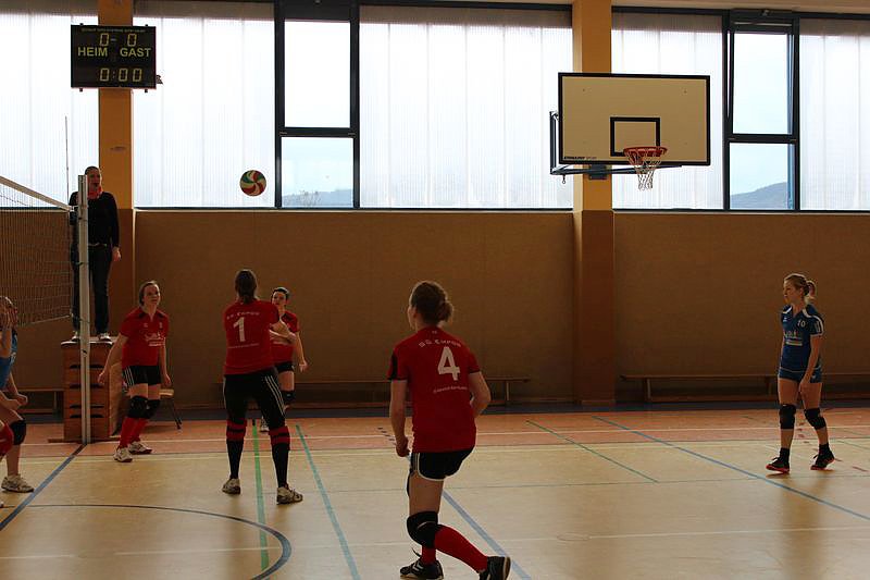 Neues vom Volleyball