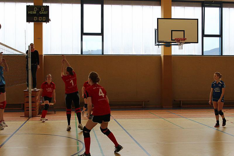 Neues vom Volleyball
