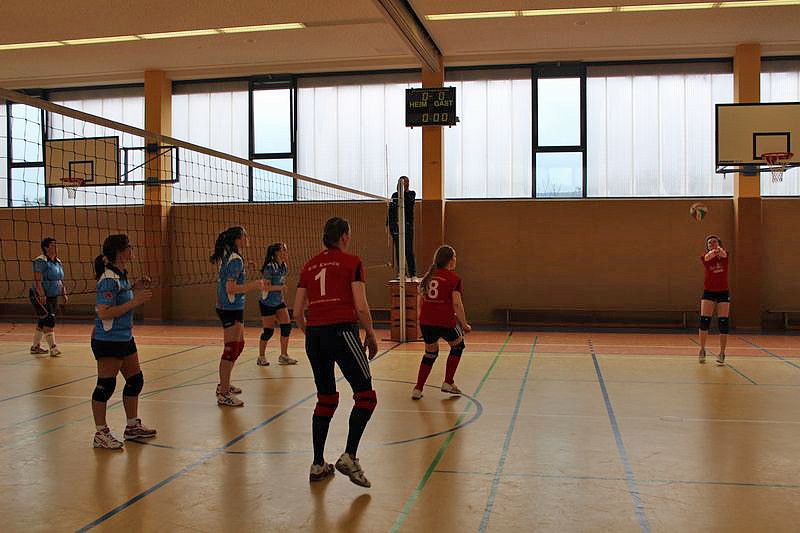 Neues vom Volleyball
