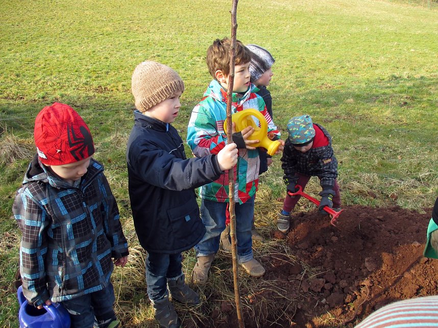 Pflanzaktion in Neustadt
