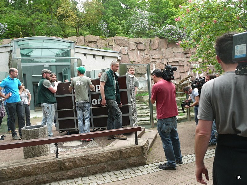 B&auml;rin Conny zieht nach Worbis