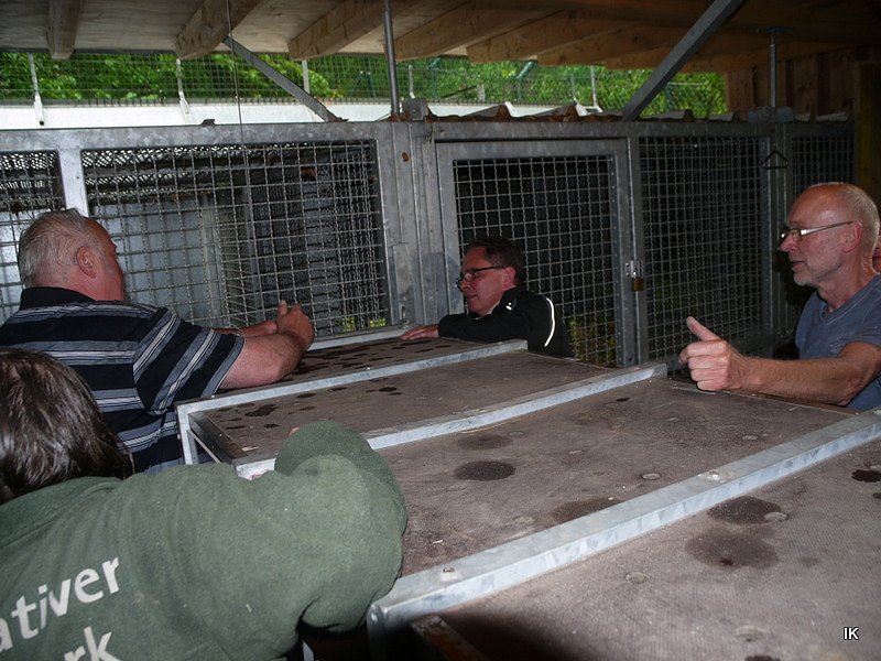 B&auml;rin Conny zieht nach Worbis